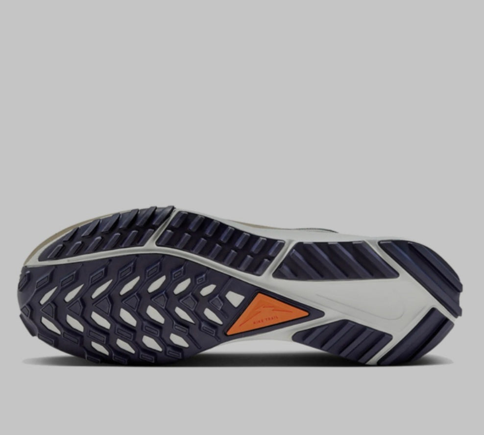 Nike Pegasus Trail 4 Gore-Tex