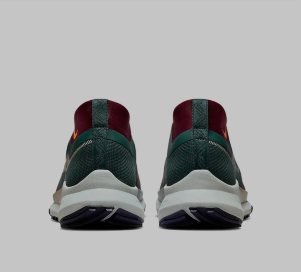Nike Pegasus Trail 4 Gore-Tex