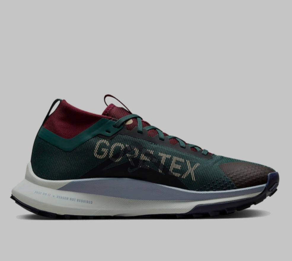 Nike Pegasus Trail 4 Gore-Tex